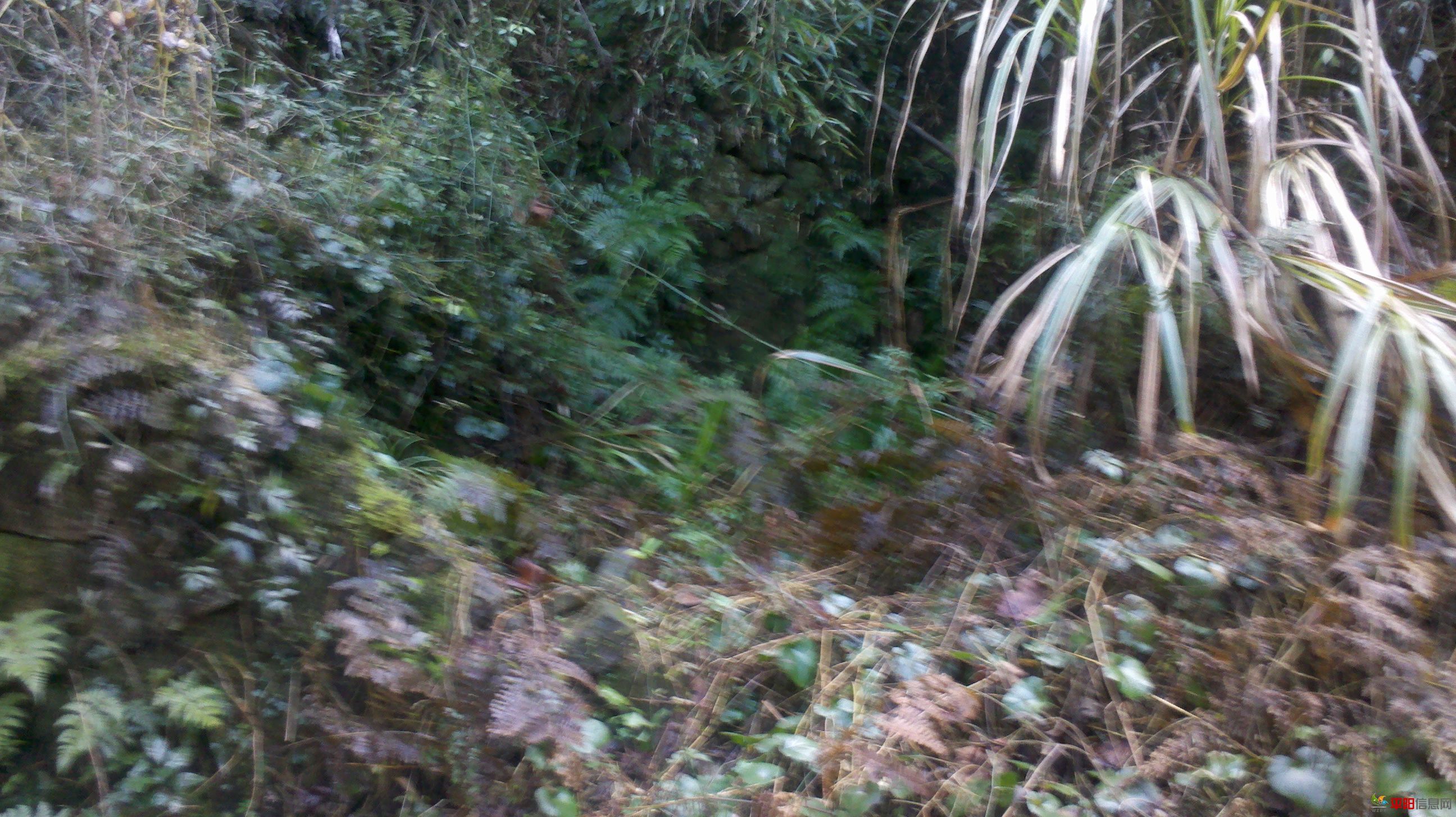 2012-02-05_13-56-09_875.jpg