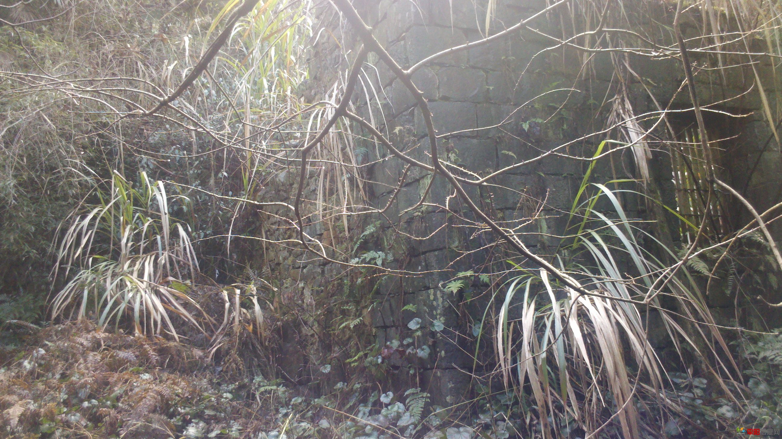 2012-02-05_13-56-32_864.jpg