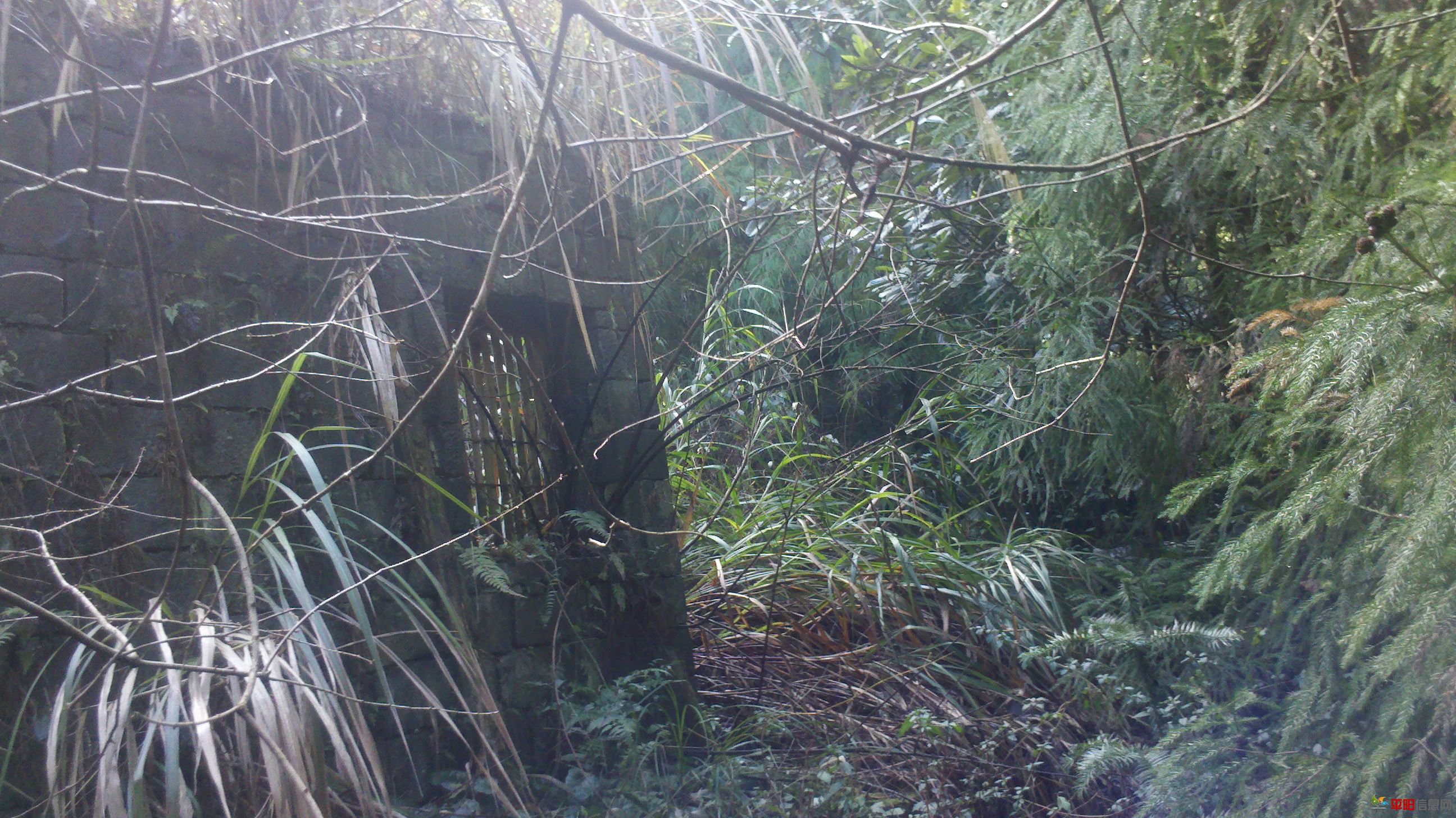 2012-02-05_13-56-38_867.jpg