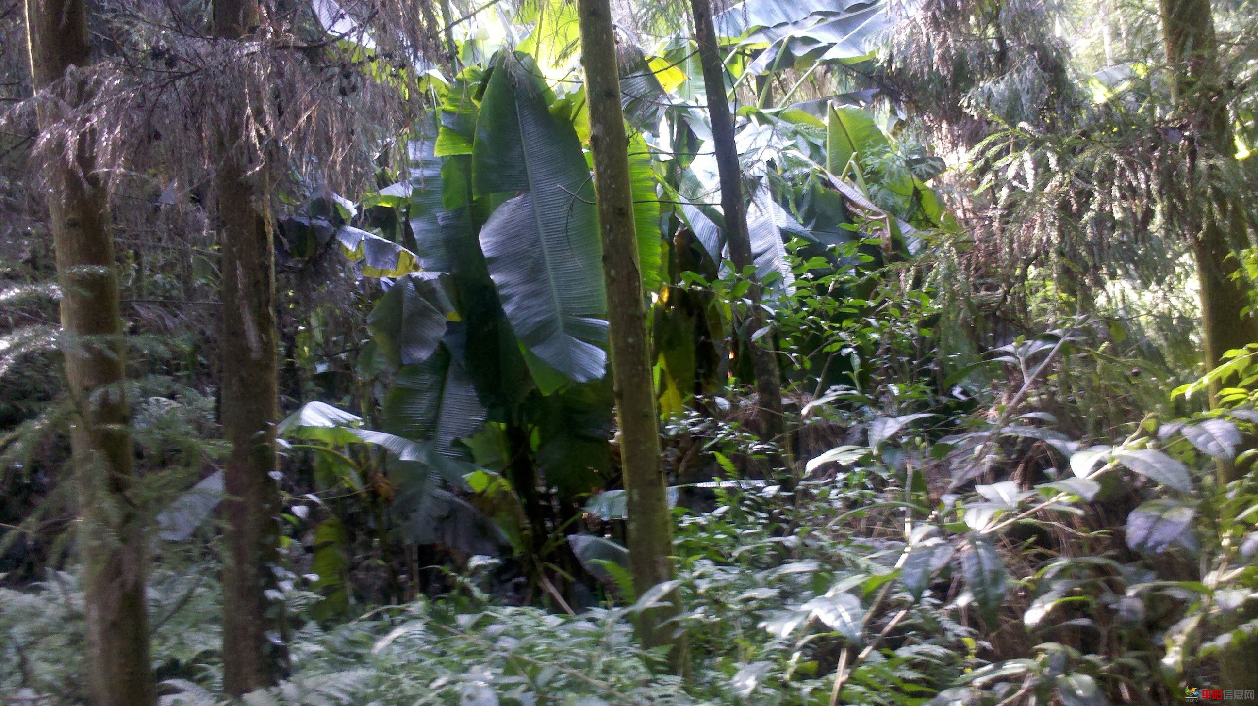 2012-02-05_13-57-19_887.jpg