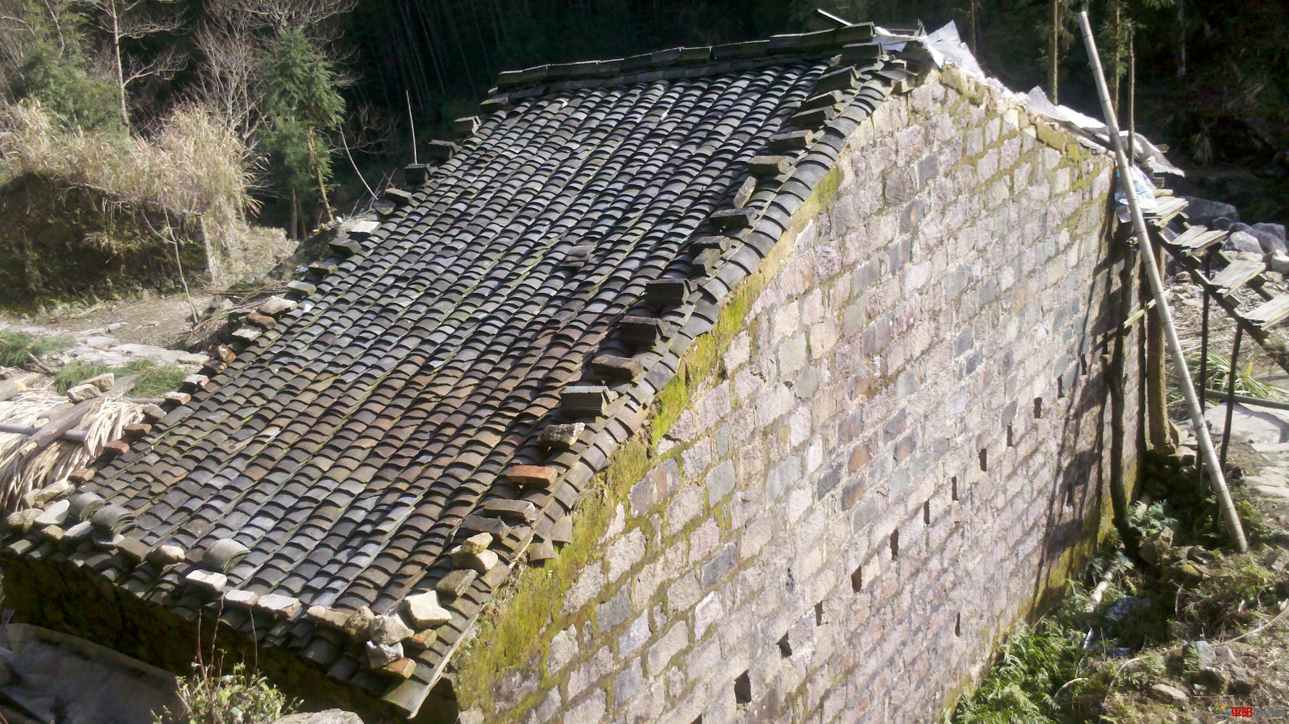 2012-02-05_14-24-57_679.jpg
