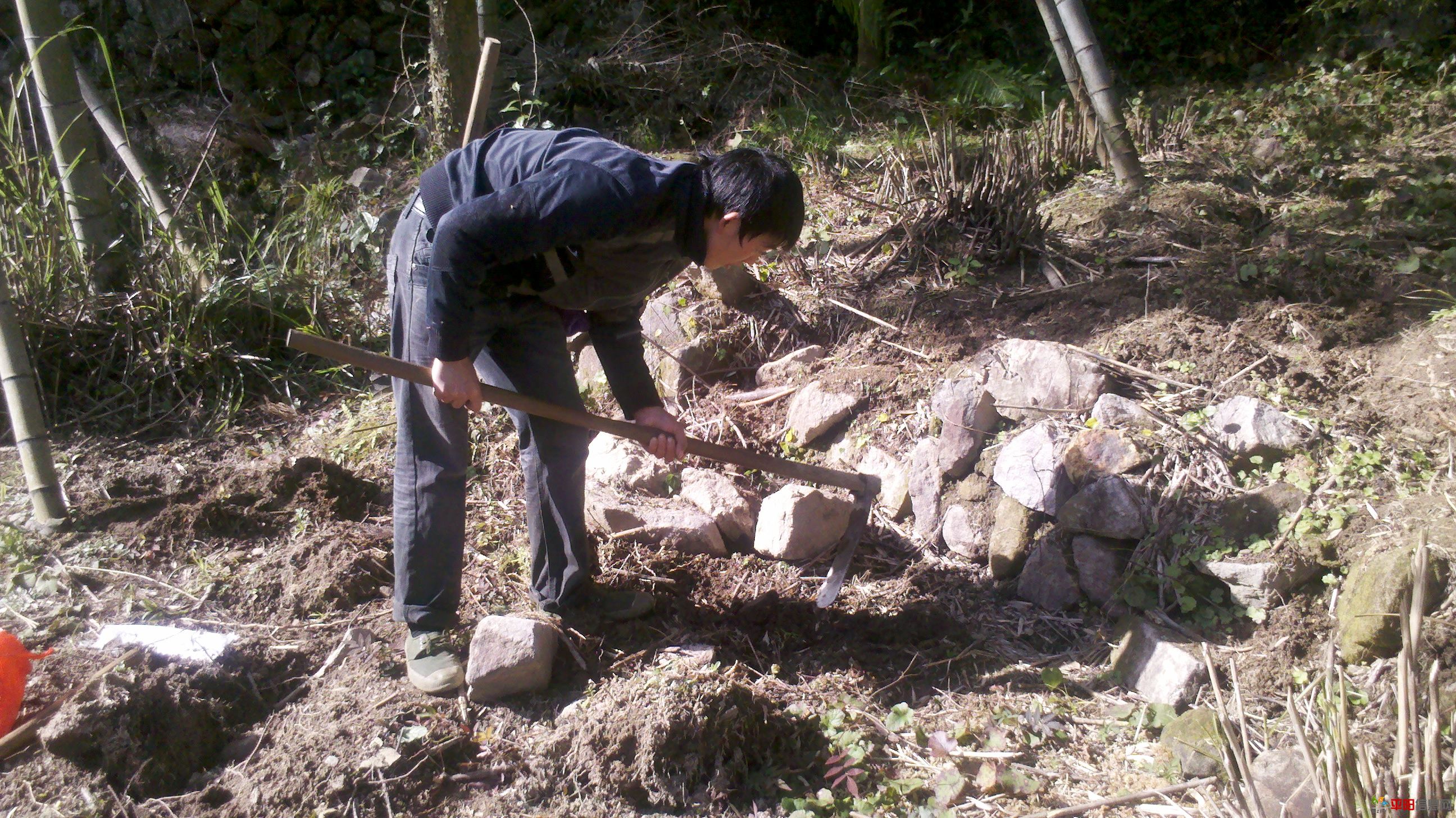 2012-02-05_14-25-26_828.jpg