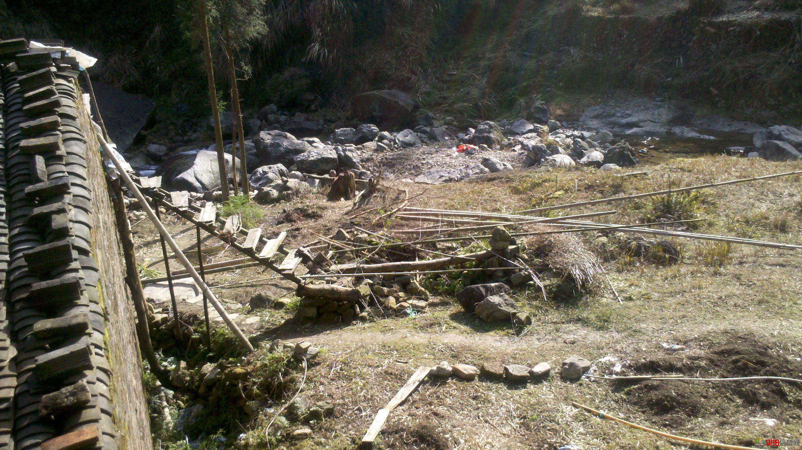 2012-02-05_14-25-32_914.jpg
