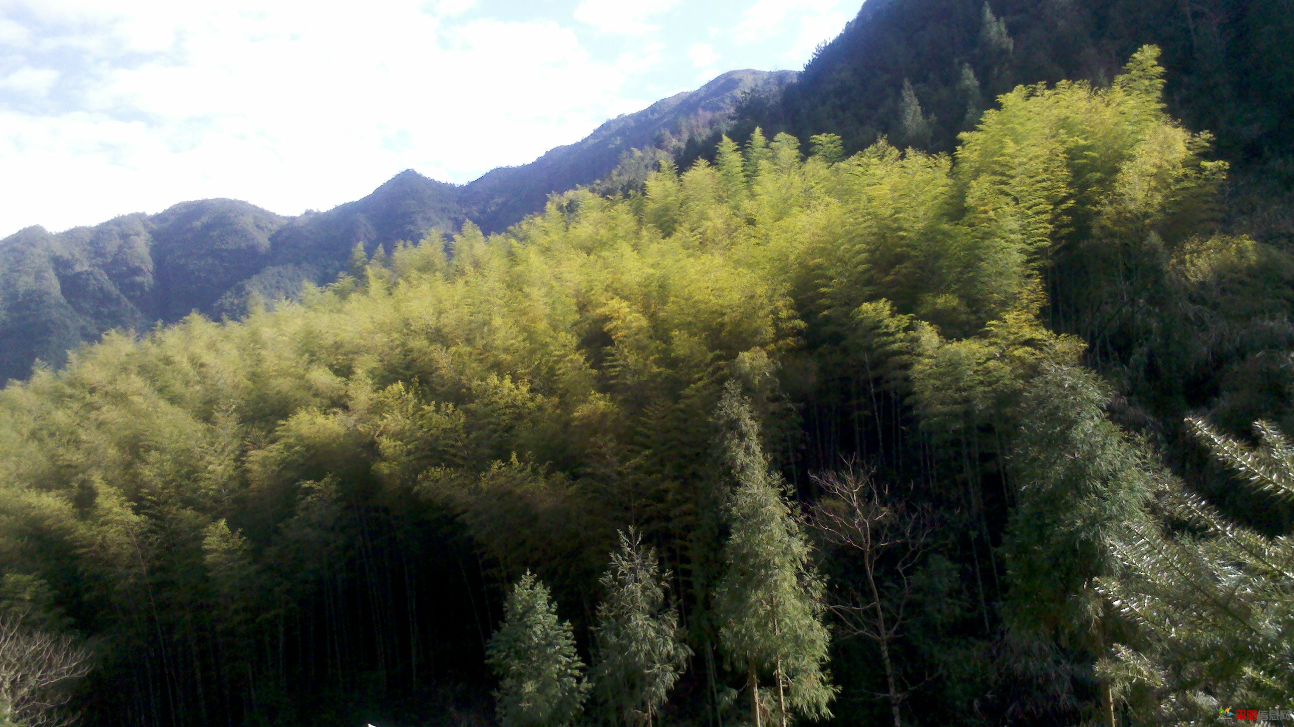 2012-02-05_14-26-14_269.jpg