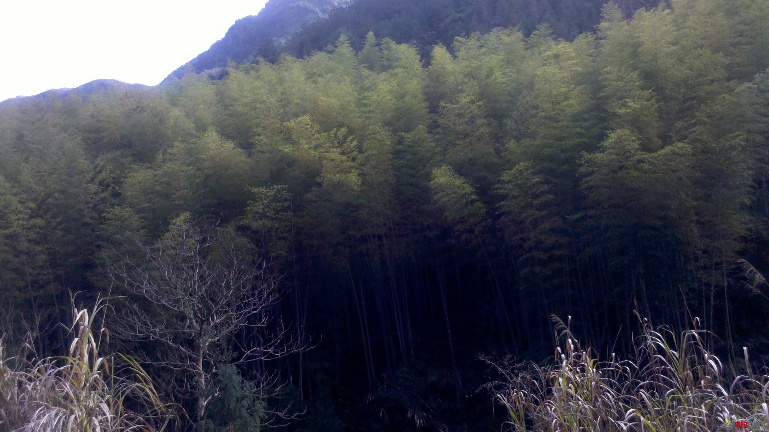 2012-02-05_14-36-39_286.jpg
