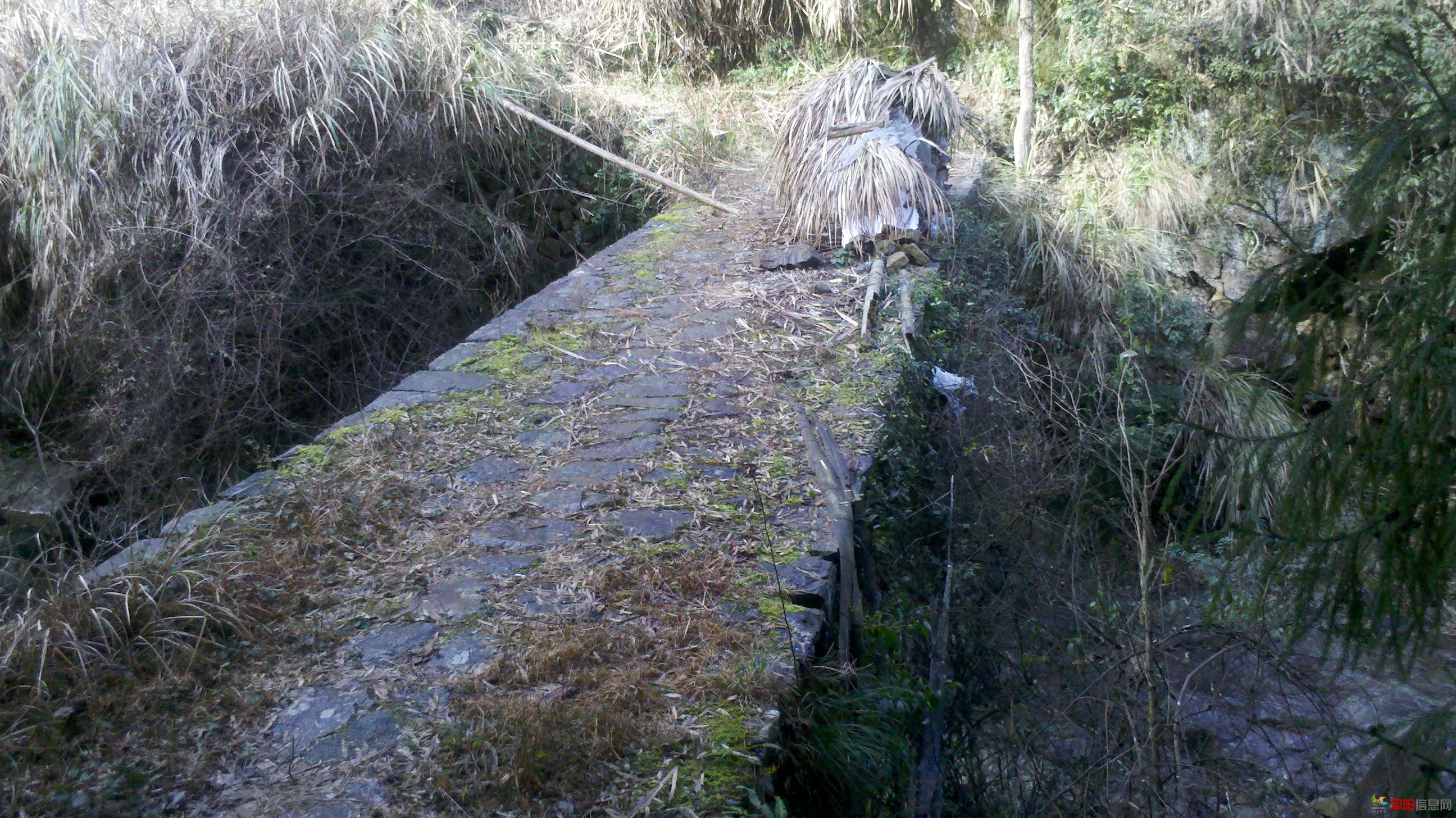 2012-02-05_14-40-10_414.jpg