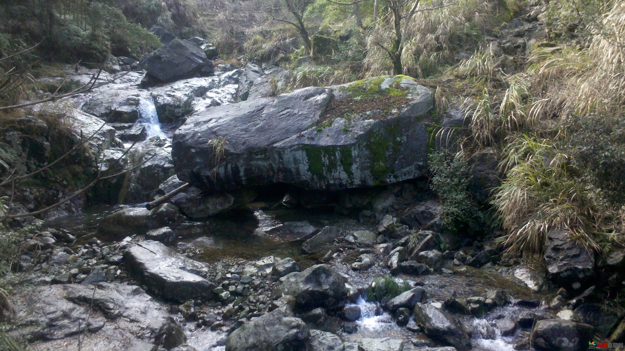 2012-02-05_14-40-23_380.jpg