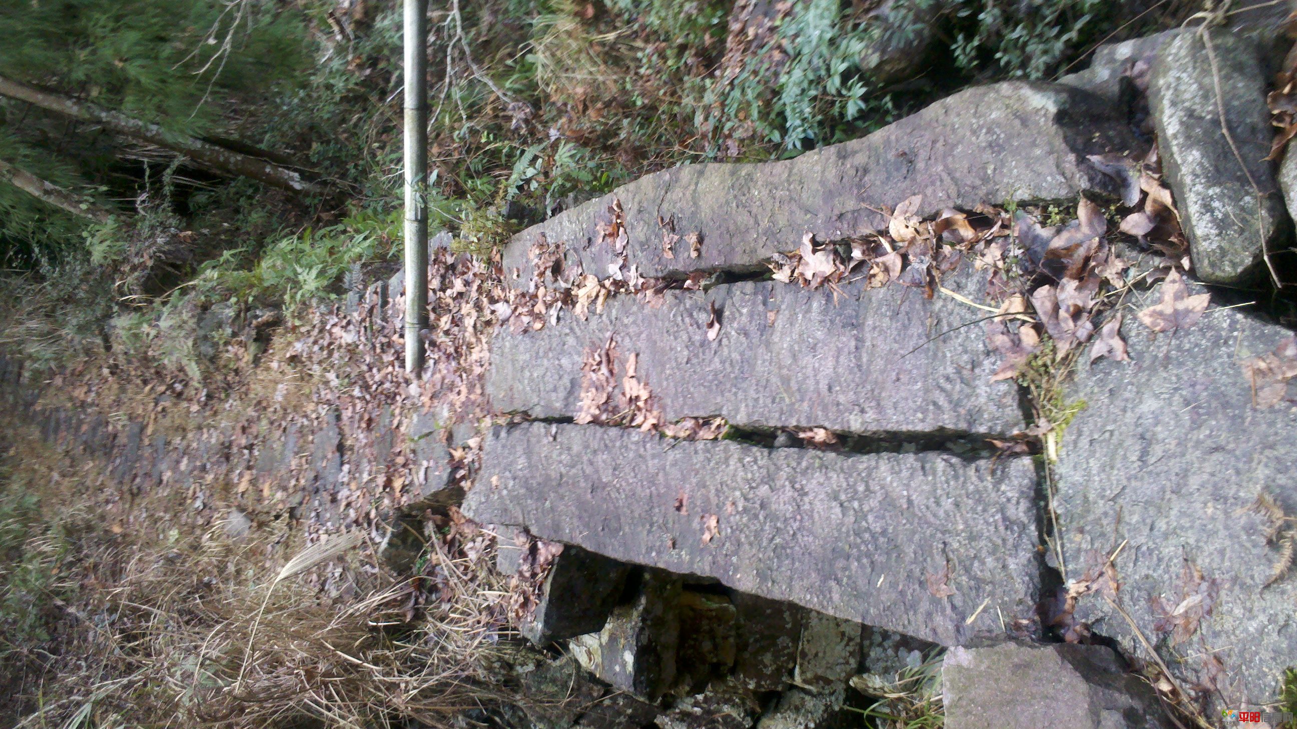2012-02-05_14-43-30_679.jpg