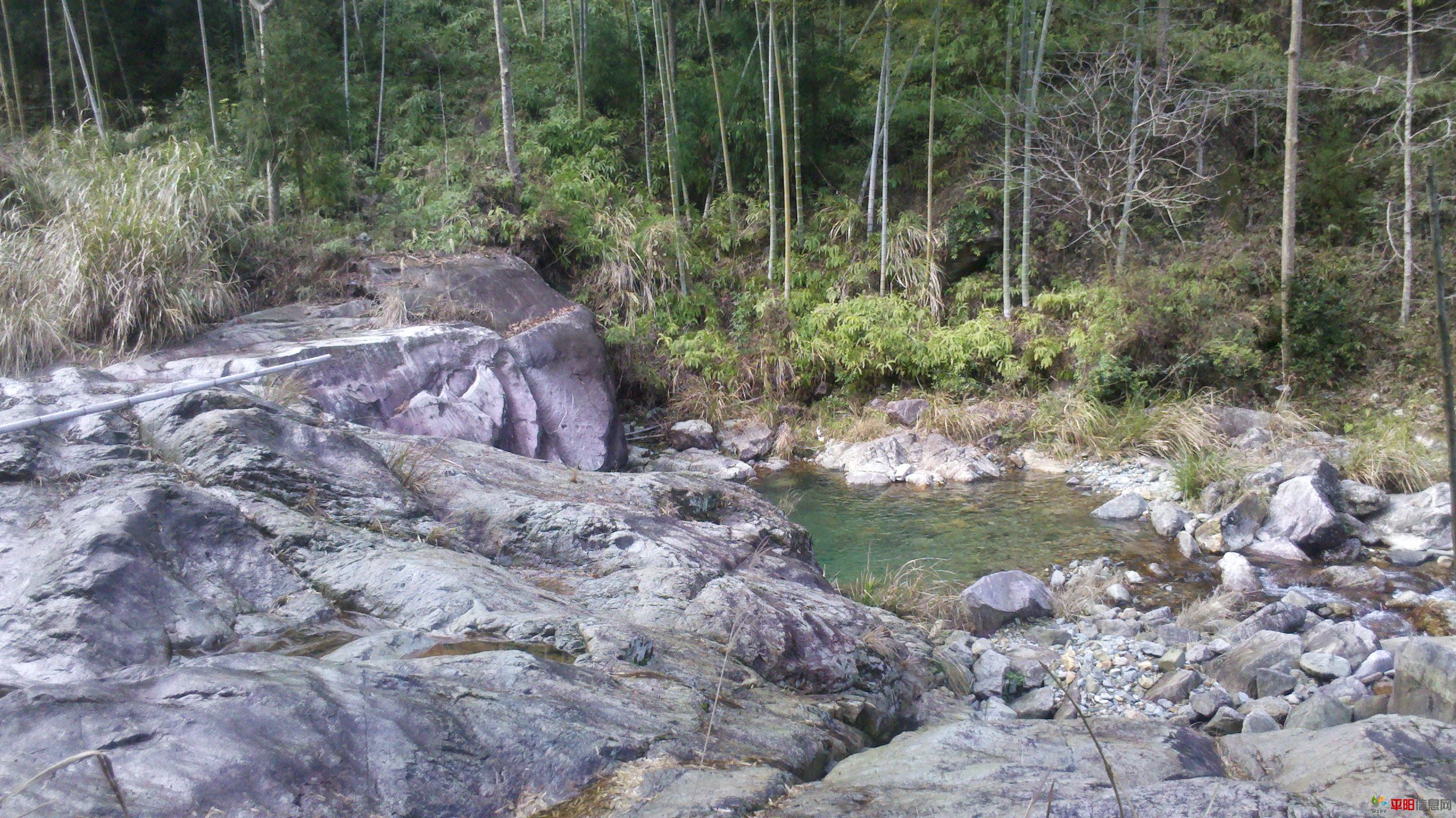 2012-02-05_14-45-34_351.jpg