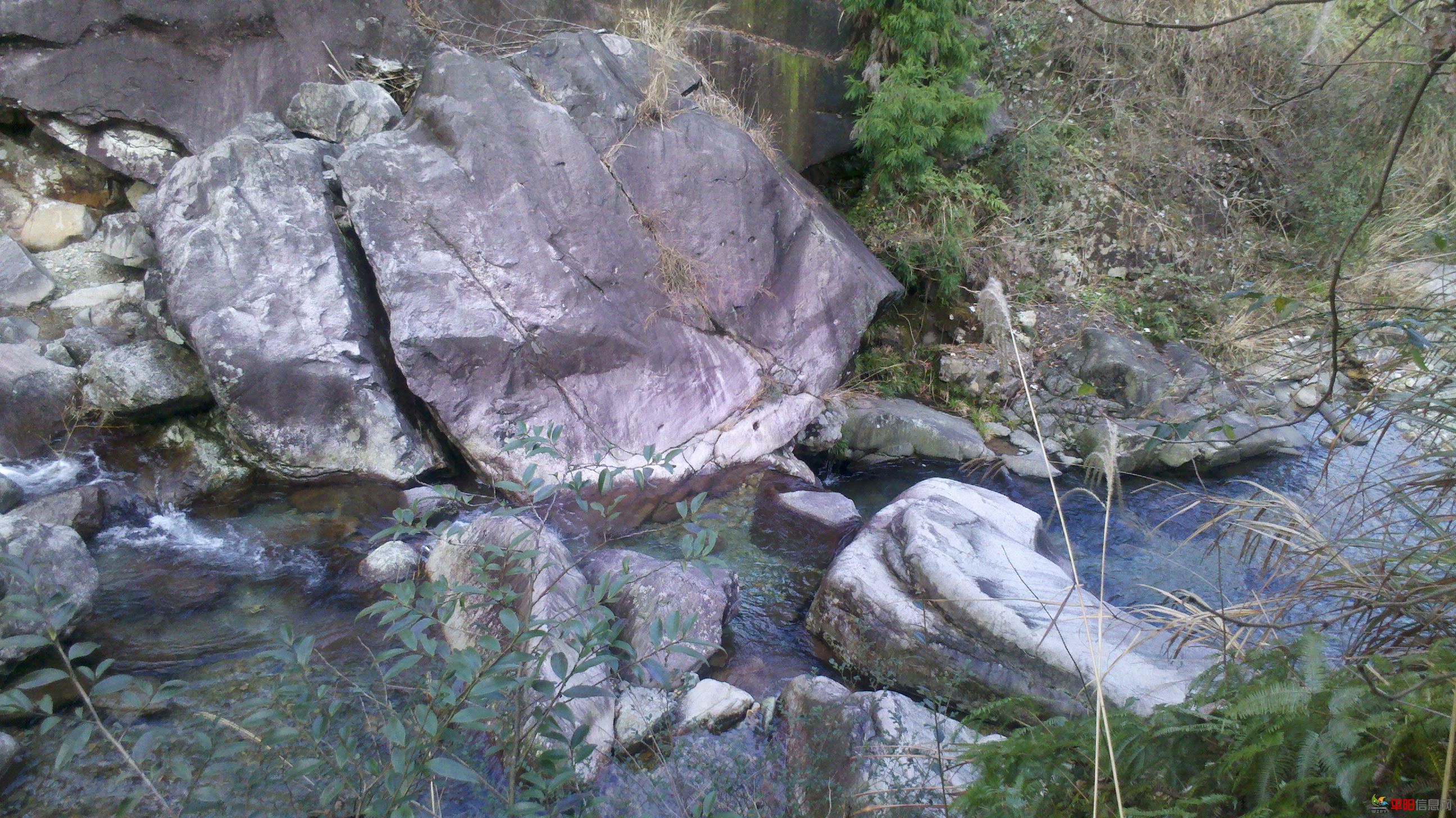 2012-02-05_14-45-54_281.jpg