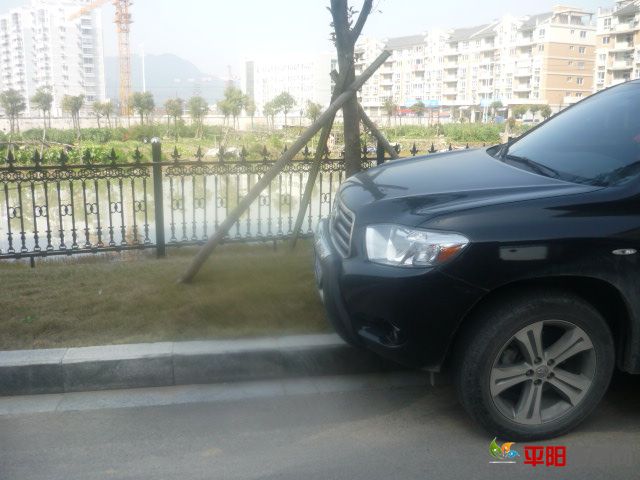 P1070568.JPG
