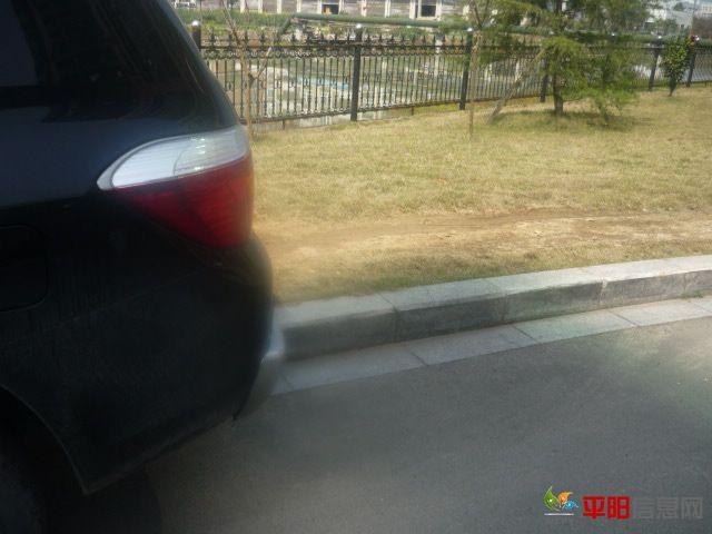 P1070585.JPG