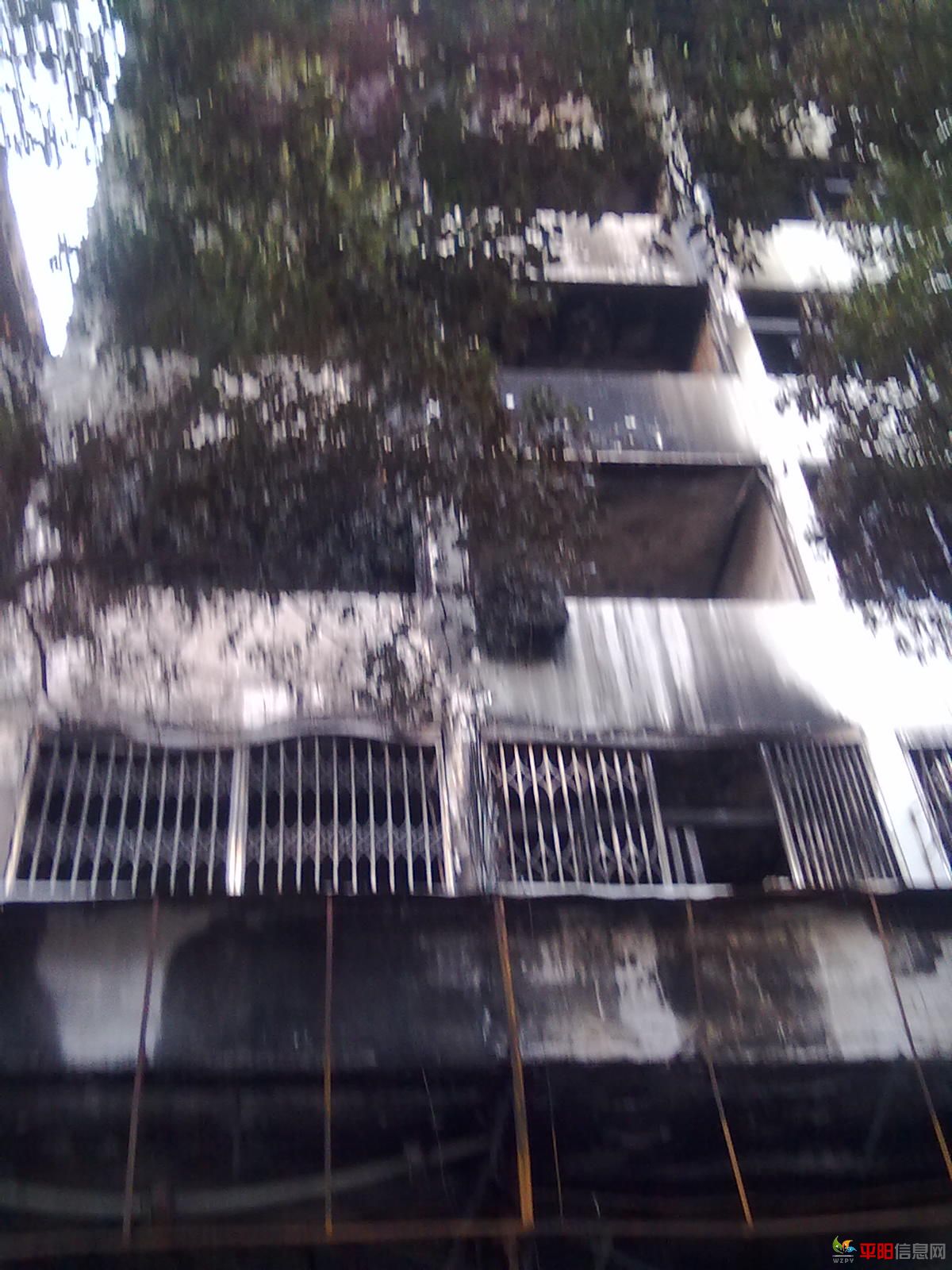 20120326516.jpg