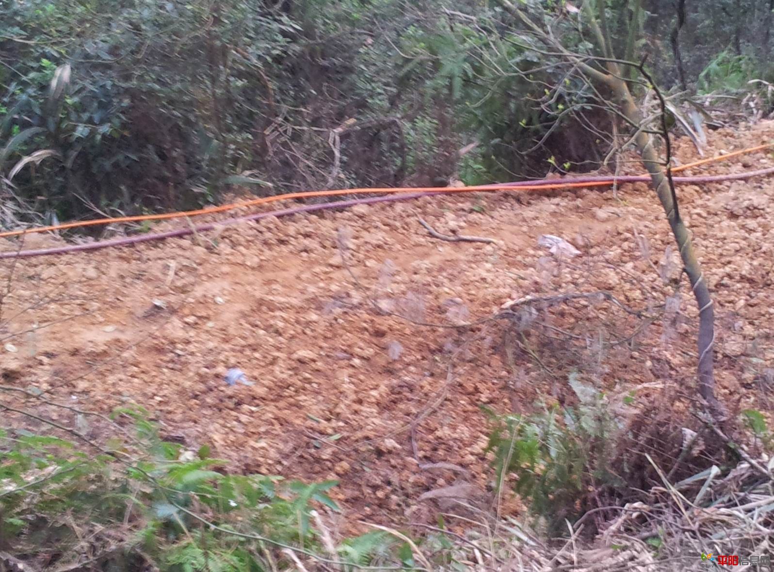 20120330_061807.jpg