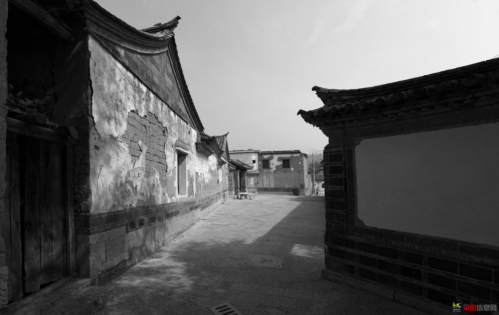 _MG_9735.JPG