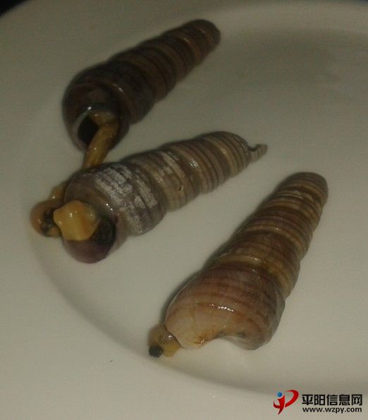 ˲𰡣ȻȫûĺһСûģδġ˲ǳԿػǡ