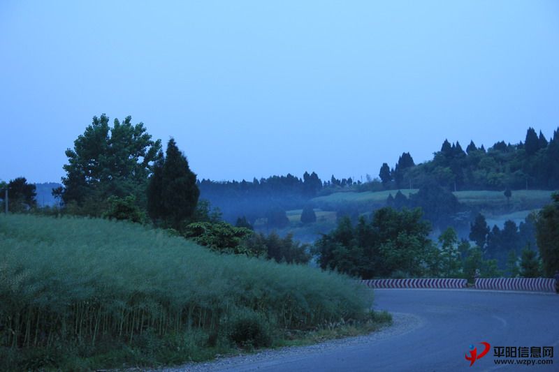 IMG_0750_СС.JPG