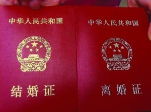 3145220896.jpg