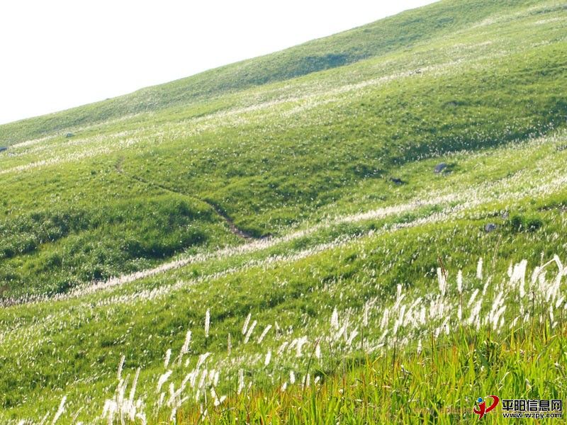 200906030835482Nx5An.jpg