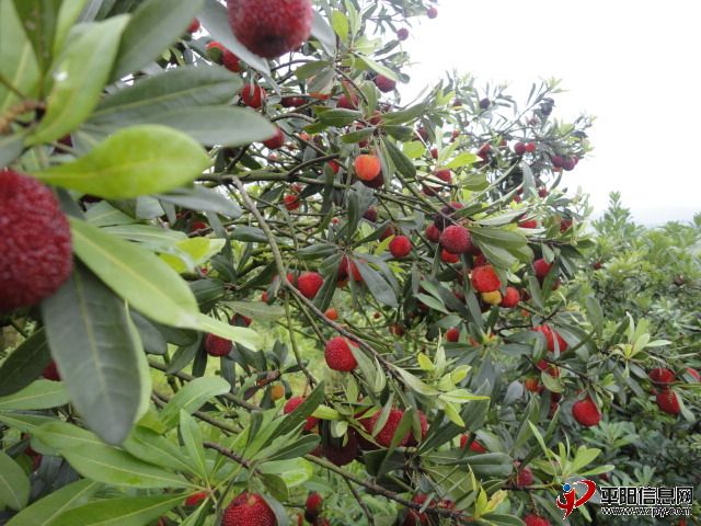 DSC02350.JPG