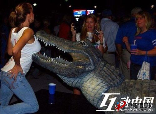 1500496uf9tcu7ot6ft72u.jpg