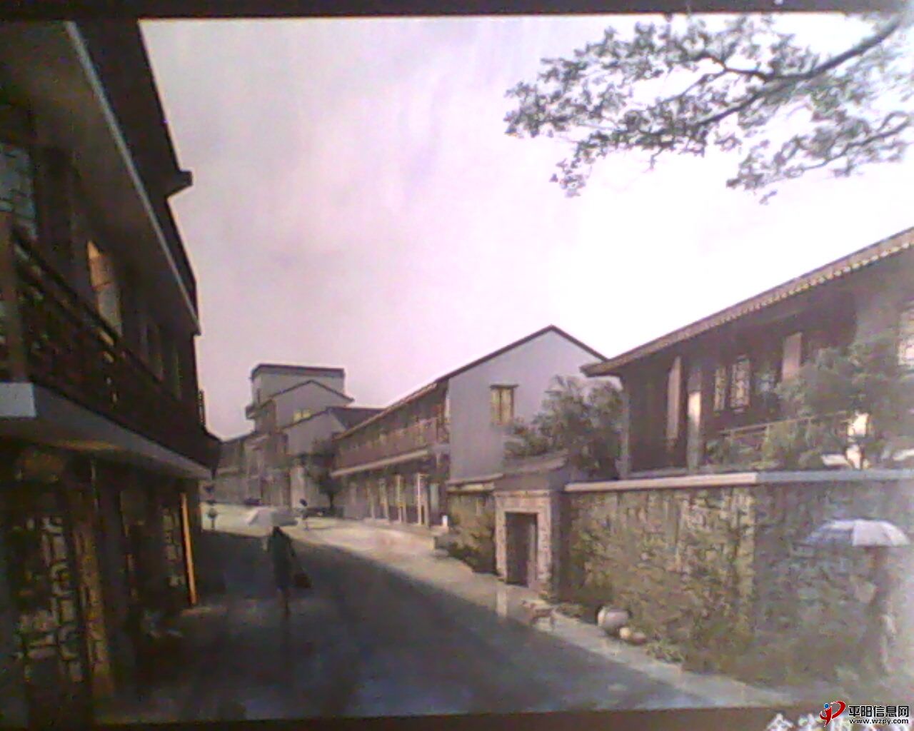 IMG0434A.jpg