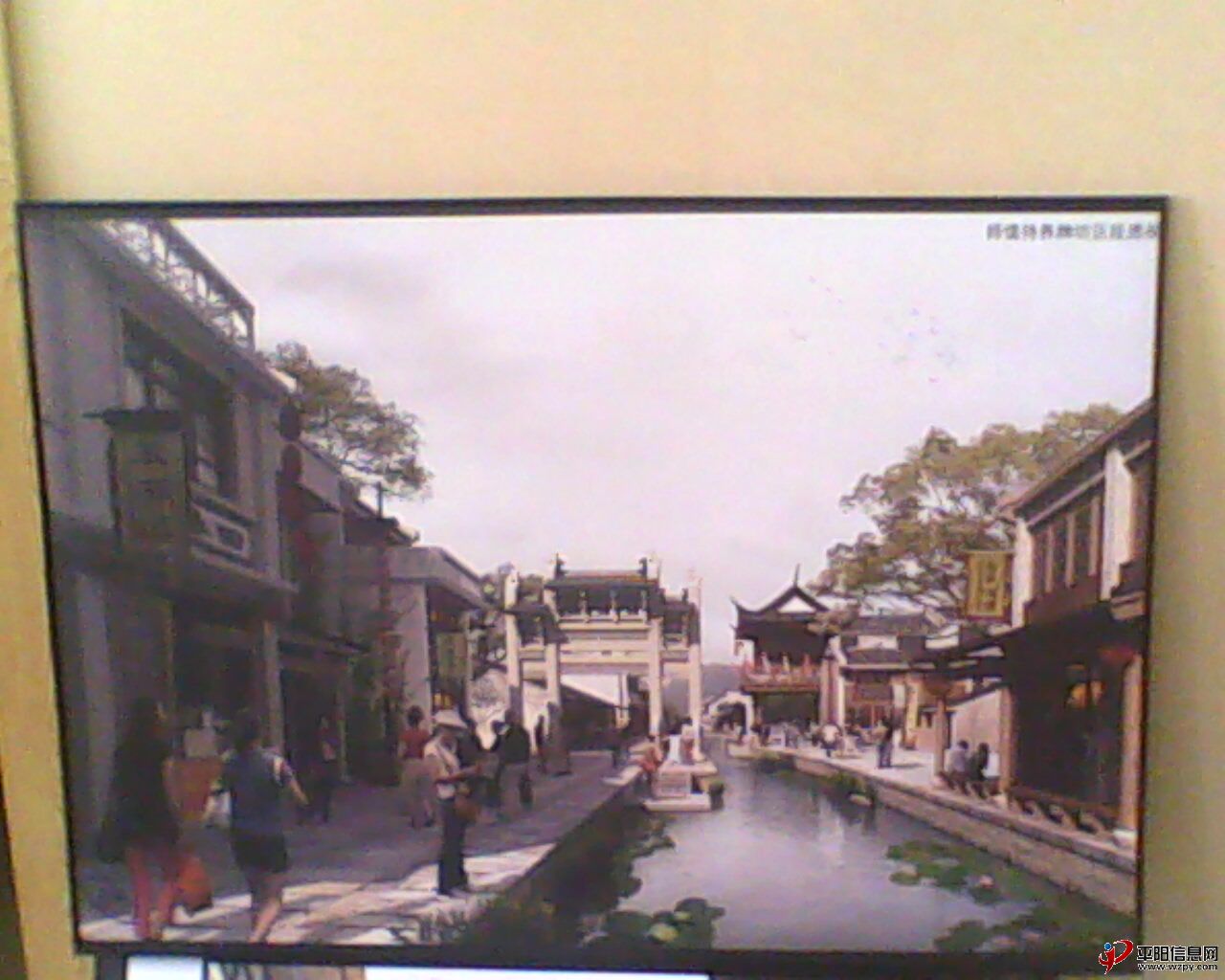 IMG0426A.jpg