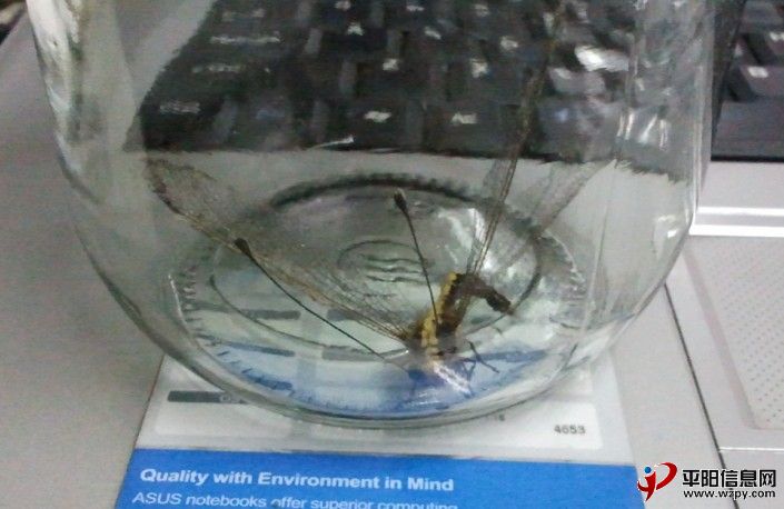 QQͼ20120709224832.jpg