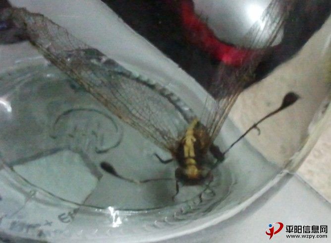 QQͼ20120709224848.jpg