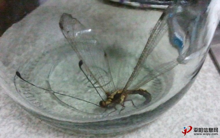 QQͼ20120709224858.jpg