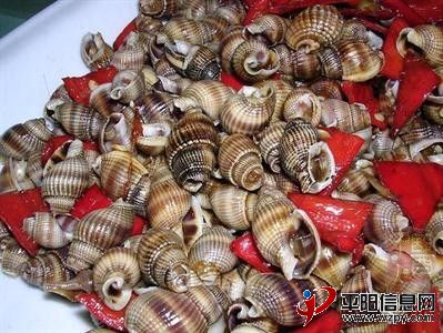 20100610151635316.jpg