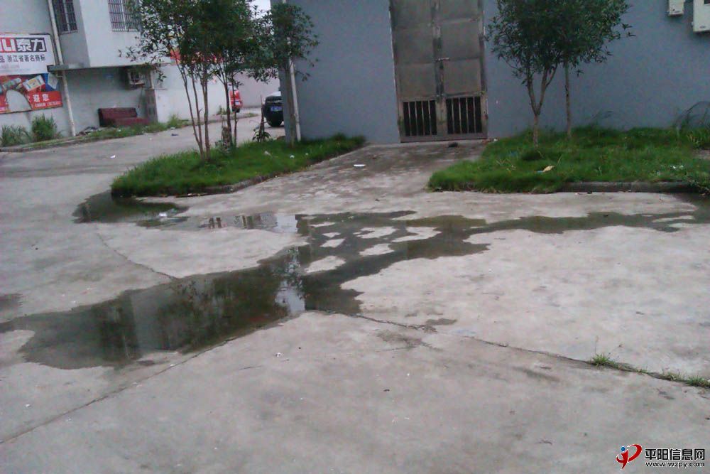 IMAG0090.jpg