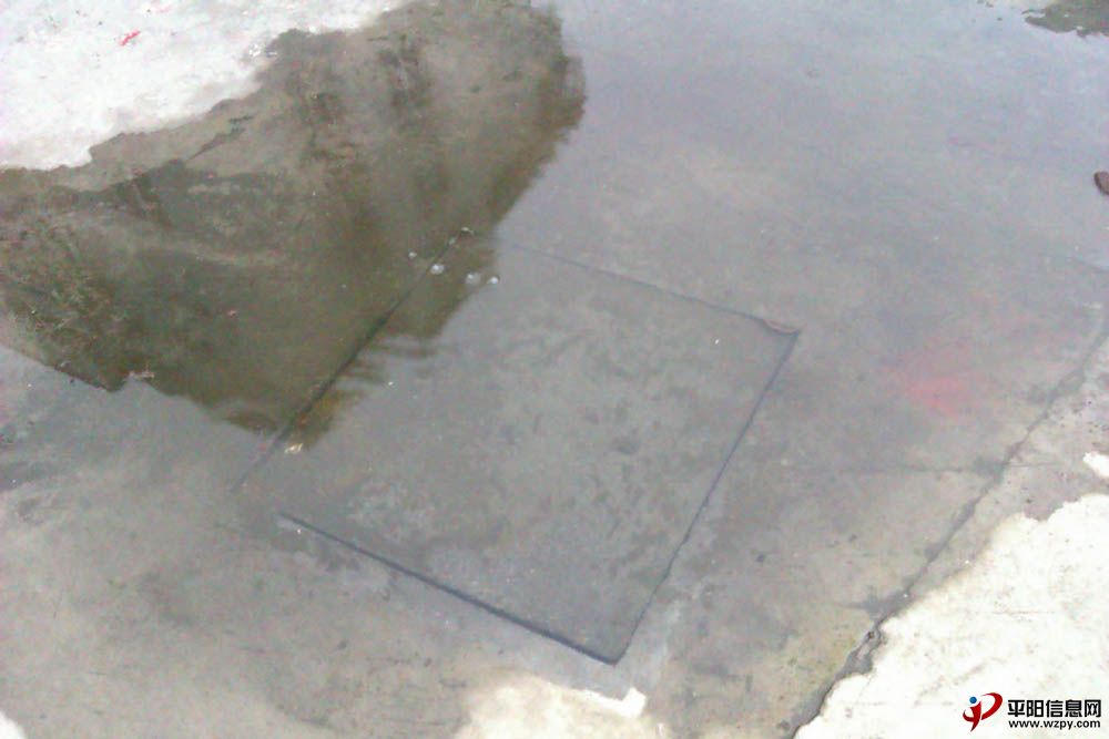 IMAG0091.jpg