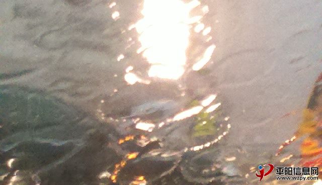 2012-07-16_18-05-24_210.jpg