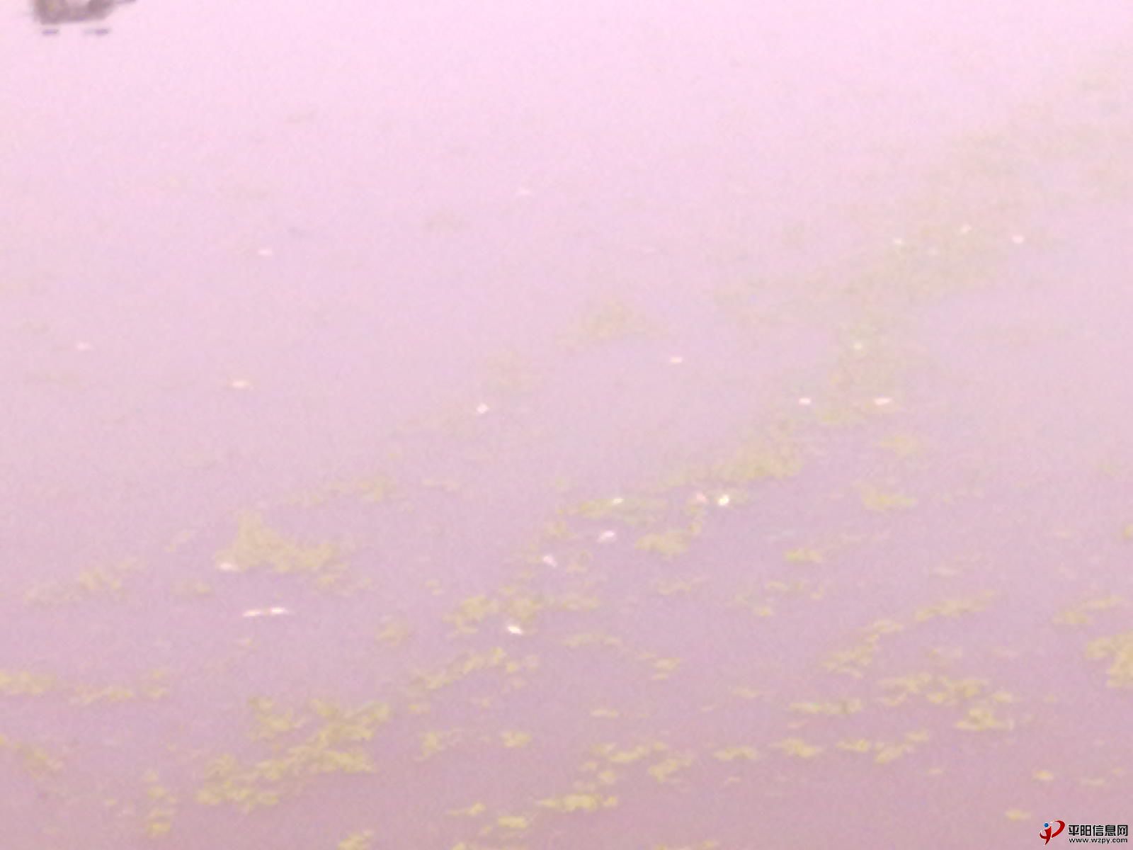 Ƭmp 013.jpg