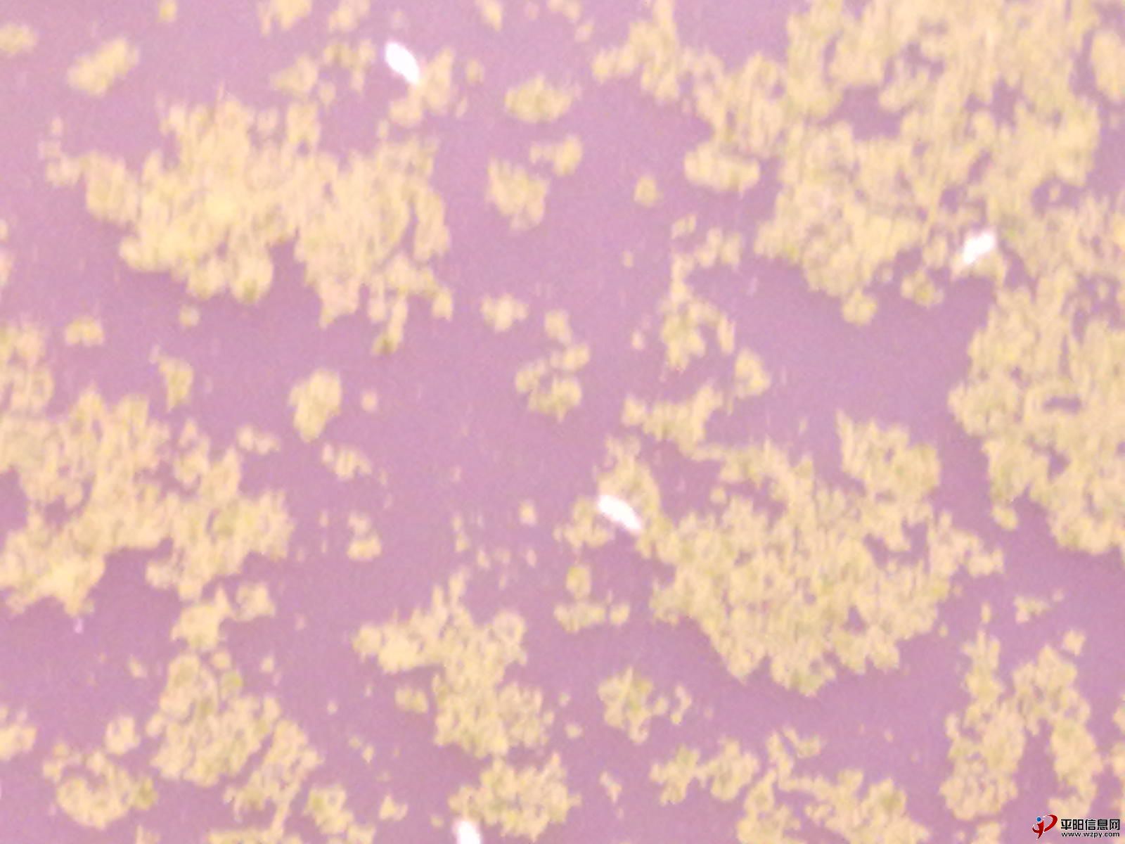 Ƭmp 015.jpg
