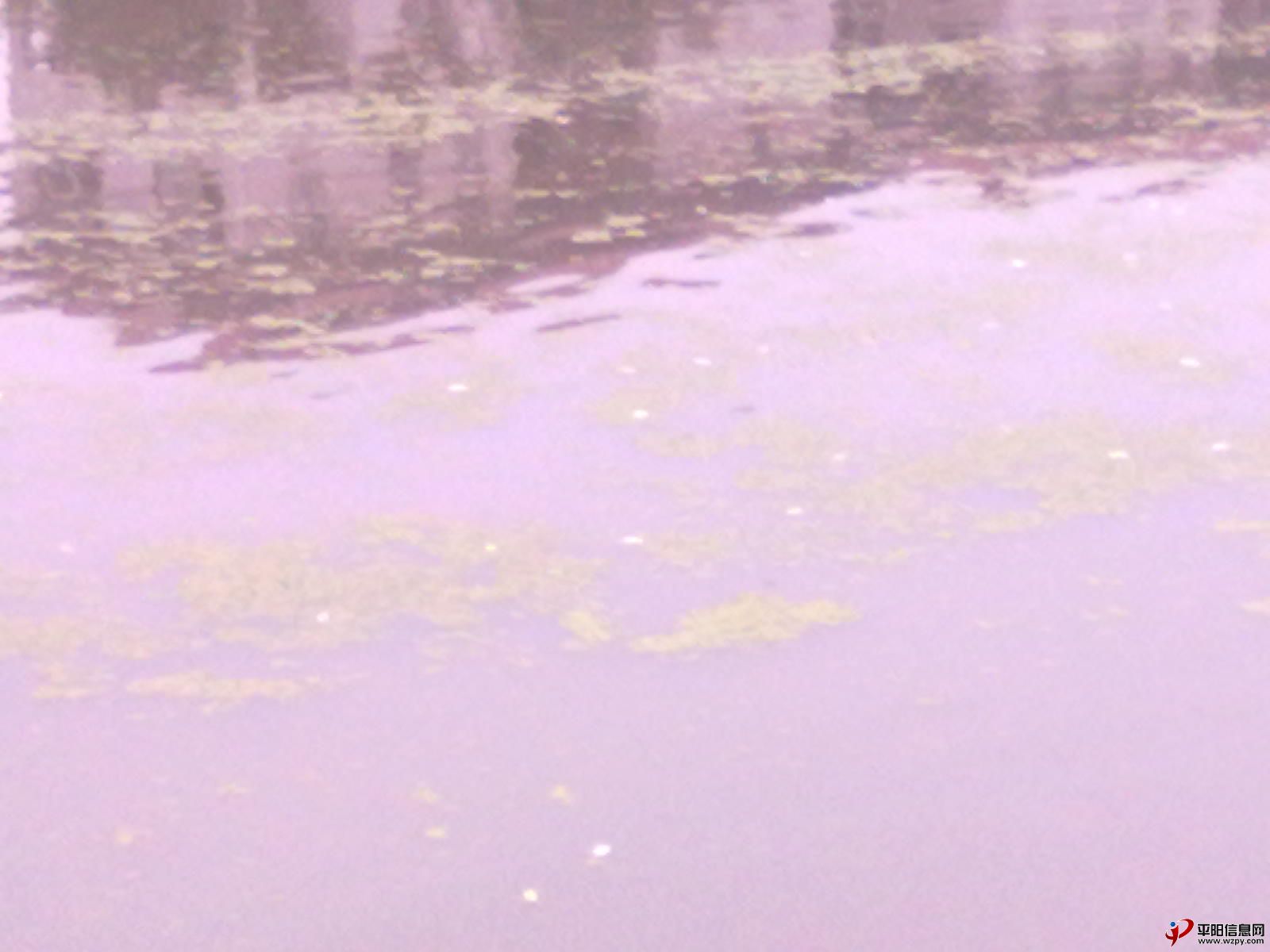 Ƭmp 017.jpg