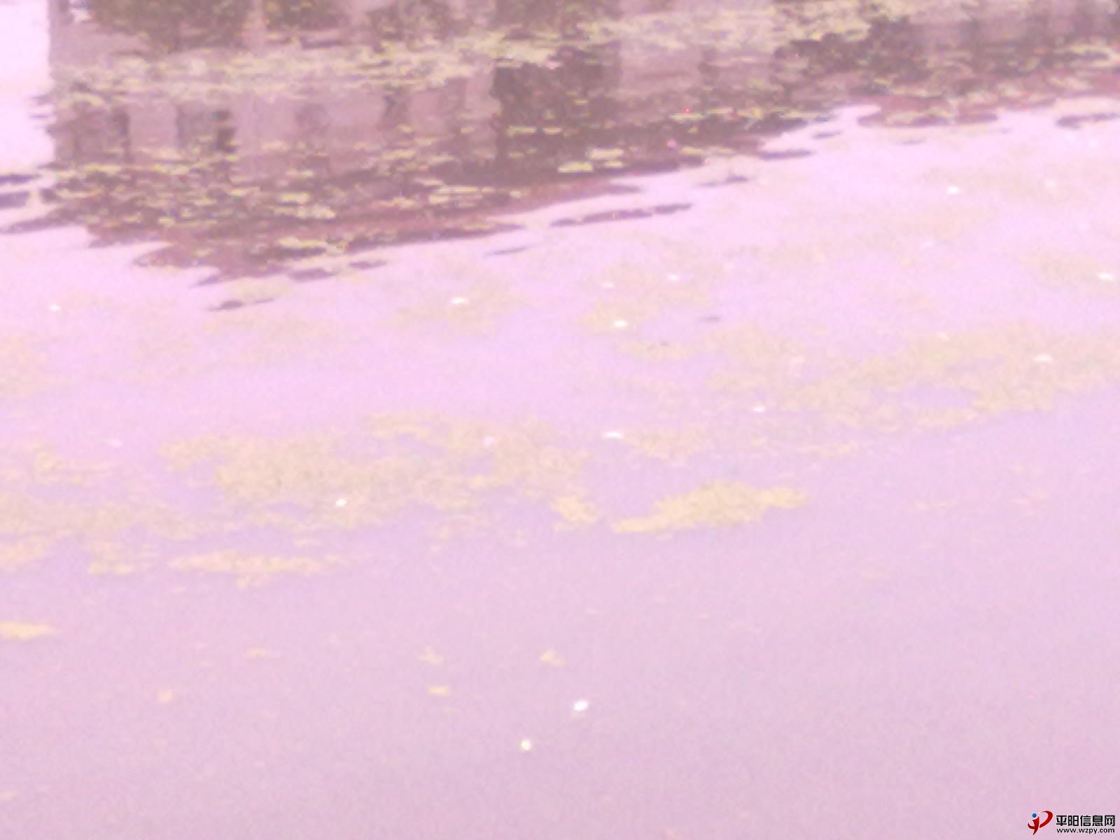 Ƭmp 018.jpg