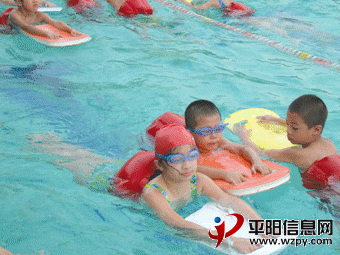 p44434_31111.gif