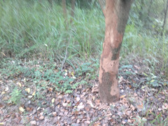 2012-07-15-181_.jpg