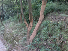 2012-07-15-182_.jpg