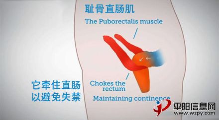 k20122081131161078475.jpg