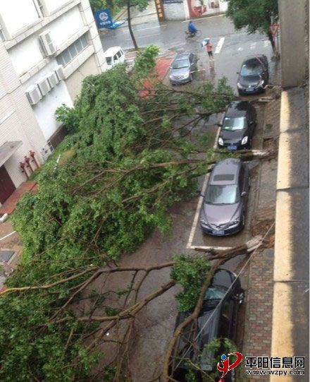 2012726121124.jpg