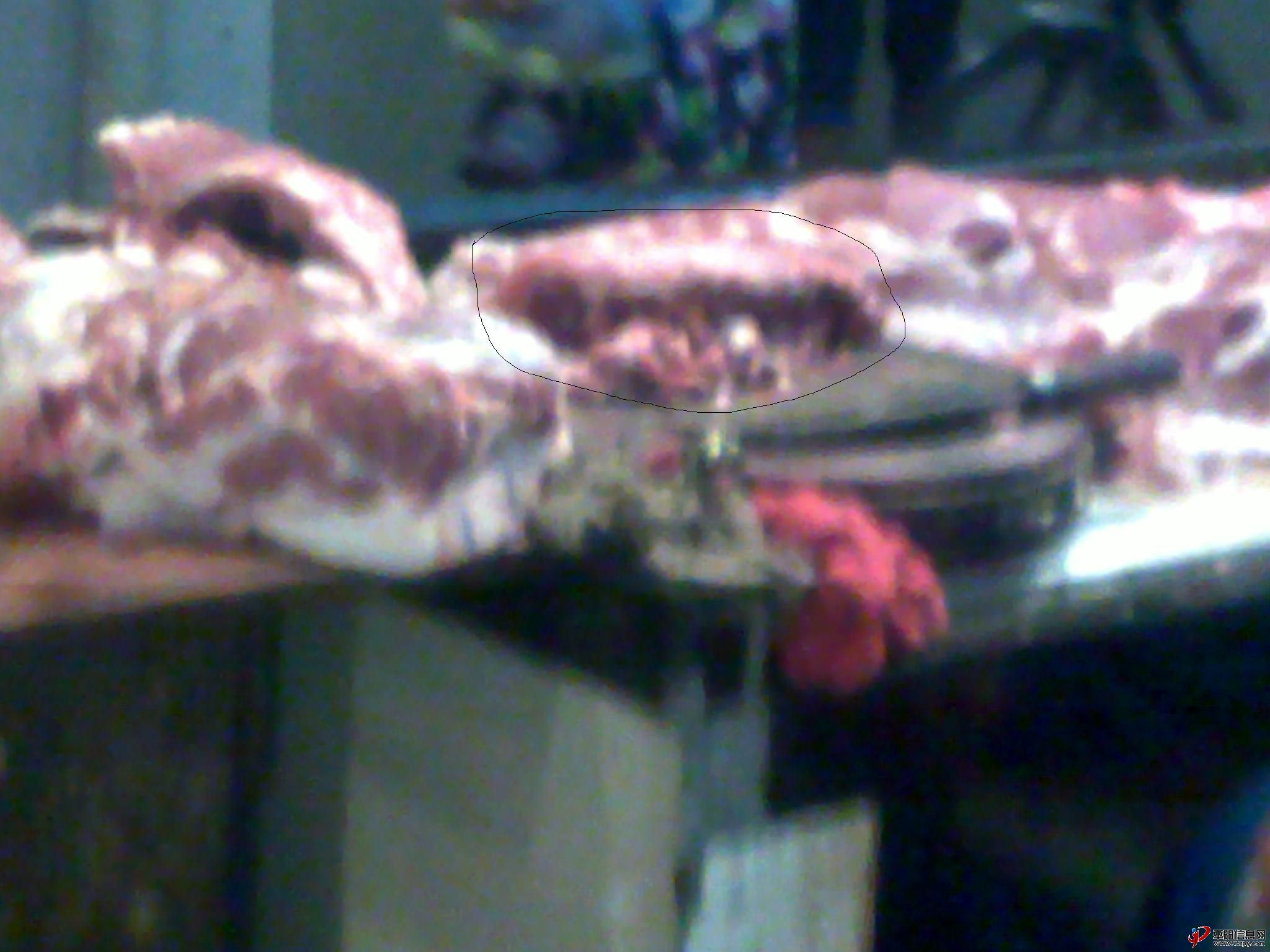 20120901183.jpg