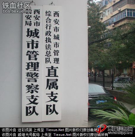 15386732[1].jpg