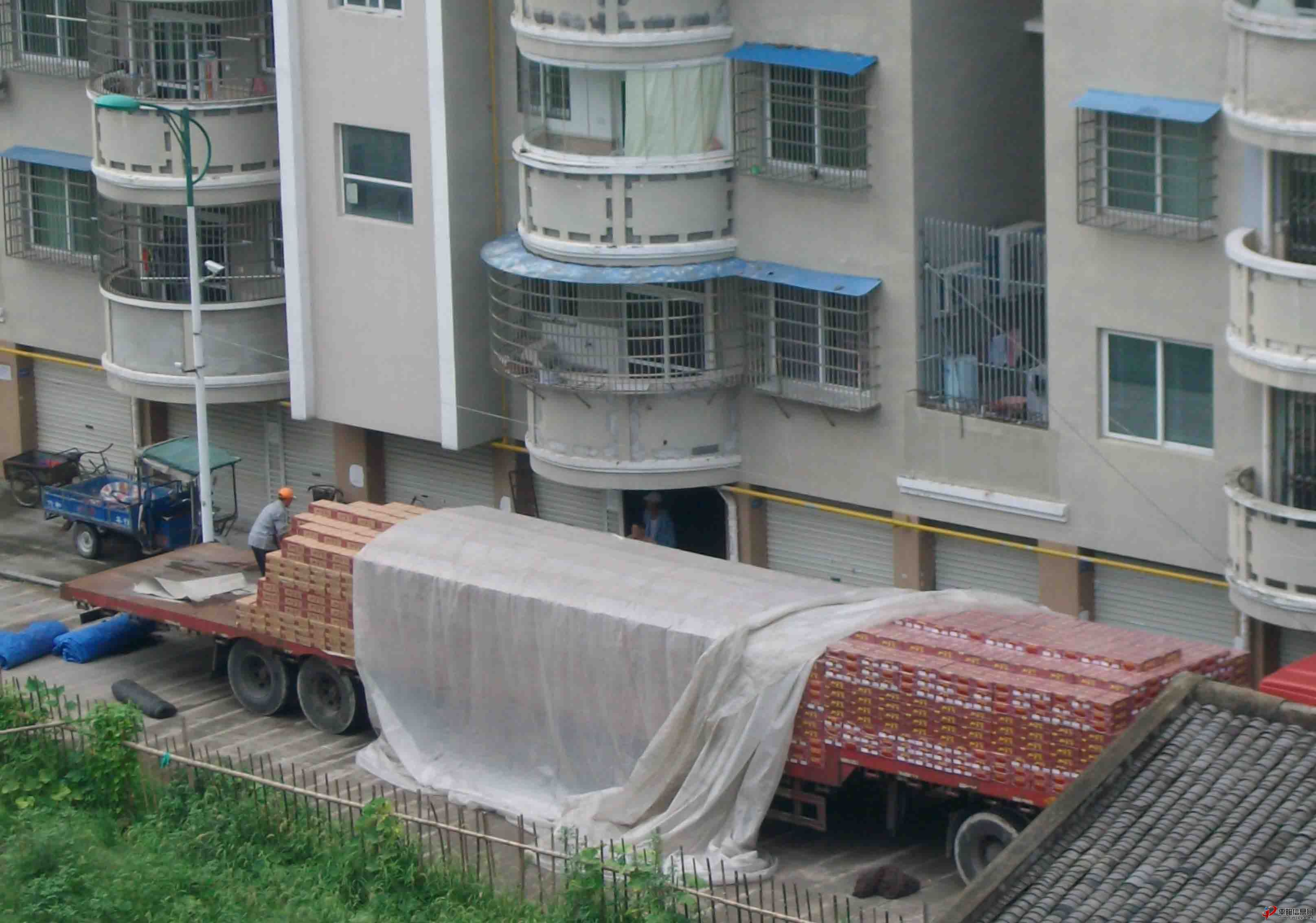 ALIM3692.jpg