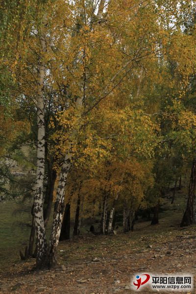 IMG_0256_СС.JPG
