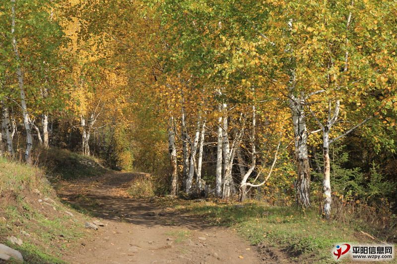 IMG_0656_СС.JPG