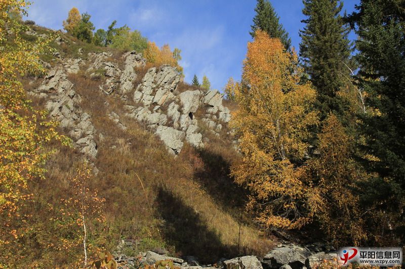 IMG_0663_СС.JPG