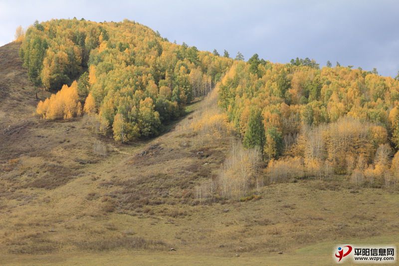 IMG_0700_СС.JPG